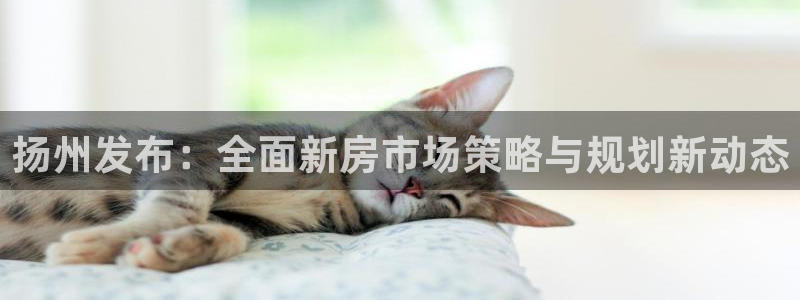 新宝5登录地址：扬州发布：全面新房市场策略与规划新动态