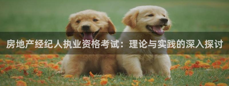 新宝5娱乐方：房地产经纪人执业资格考试：理论与实践的深入探讨