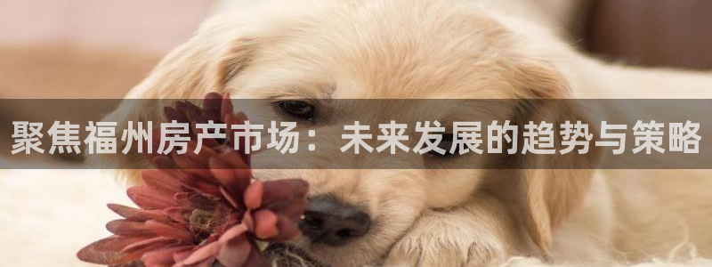 新宝5-：聚焦福州房产市场：未来发展的趋势与策略