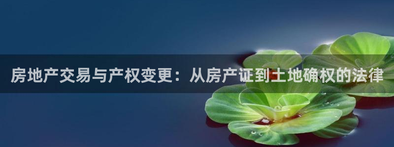 新宝5娱乐登录：房地产交易与产权变更：从房产证到土地确权的法
