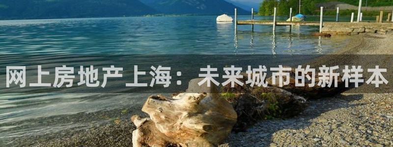 新宝速5：网上房地产上海：未来城市的新样本