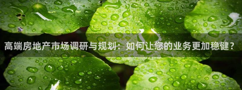 新宝5内部：高端房地产市场调研与规划：如何让您的业务更加稳健