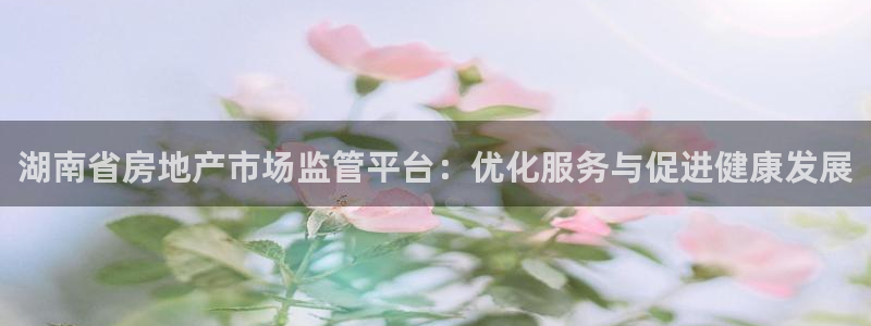新宝5新宝6顺达：湖南省房地产市场监管平台：优化服务与促进健