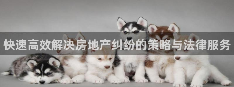 新宝5手机测速：快速高效解决房地产纠纷的策略与法律服务