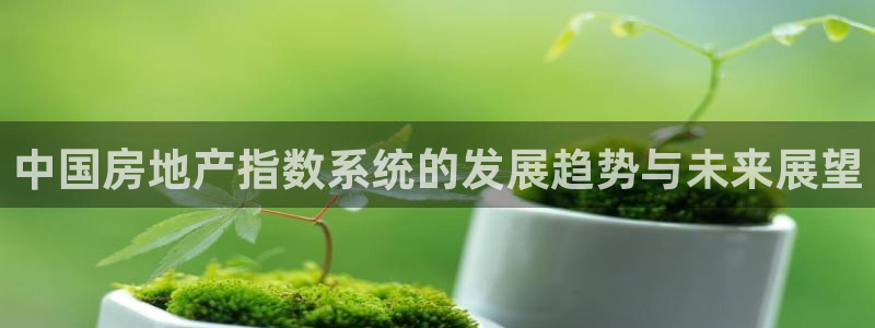 新宝5培训：中国房地产指数系统的发展趋势与未来展望