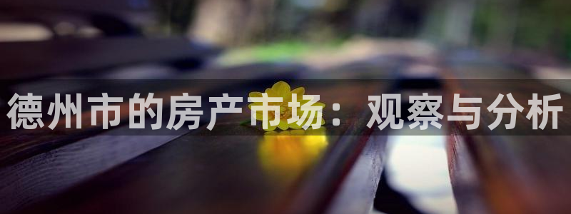 新宝5月：德州市的房产市场：观察与分析
