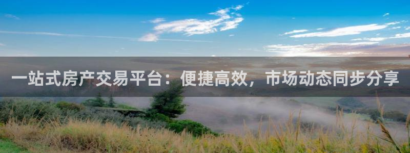 新宝5代理：一站式房产交易平台：便捷高效，市场动态同步分享