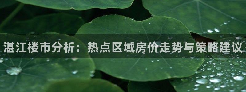新宝5招商：湛江楼市分析：热点区域房价走势与策略建议