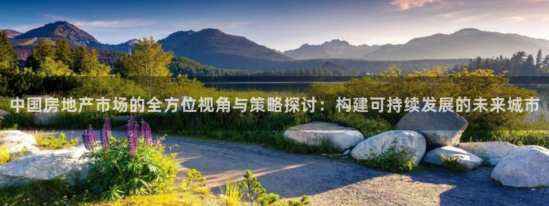 新宝5注册测速登录：中国房地产市场的全方位视角与策略探讨：构