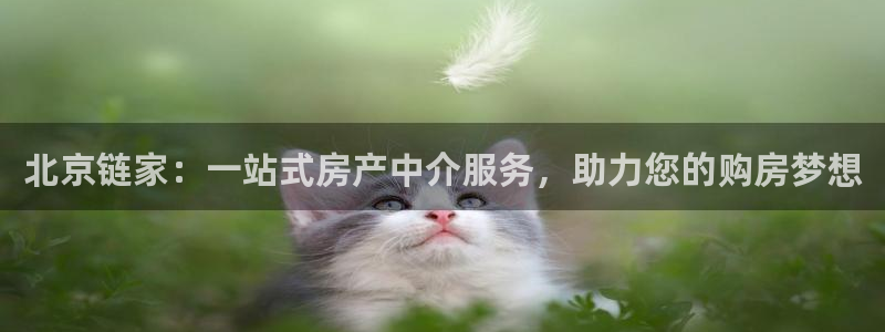 新宝5账号注册：北京链家：一站式房产中介服务，助力您的购房梦