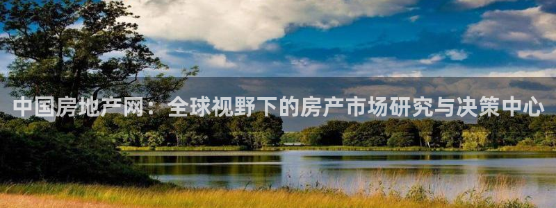 新宝5下载 迅雷下载：中国房地产网：全球视野下的房产市场研究
