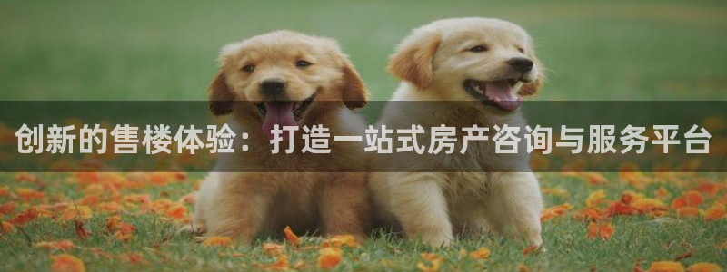 菲律宾新宝5老板：创新的售楼体验：打造一站式房产咨询与服务平