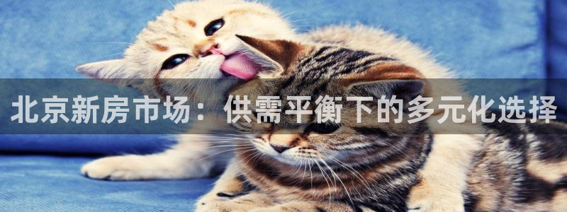 新宝5手机下载：北京新房市场：供需平衡下的多元化选择