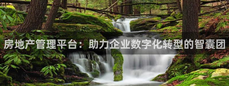 p5r新宝魔：房地产管理平台：助力企业数字化转型的智囊团