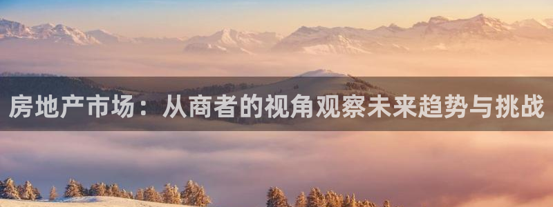 2022新宝骏rs 5：房地产市场：从商者的视角观察未来趋势