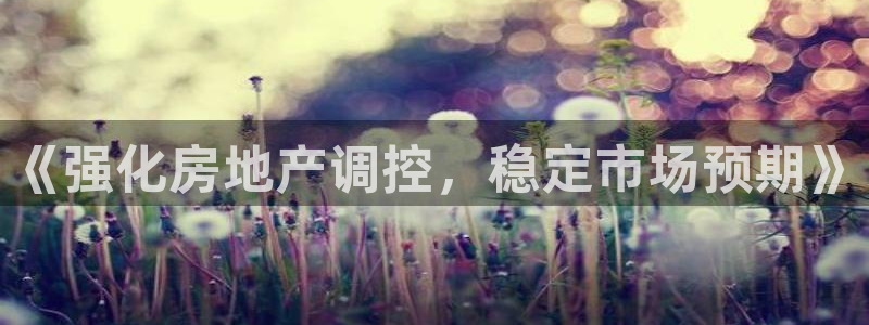 新5宝：《强化房地产调控，稳定市场预期》