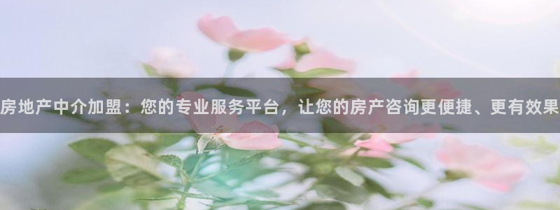 新宝5电脑登录网址：房地产中介加盟：您的专业服务平台，让您的