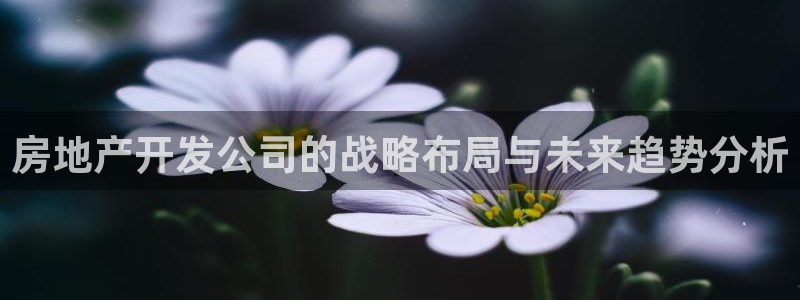 股票5G宝新：房地产开发公司的战略布局与未来趋势分析