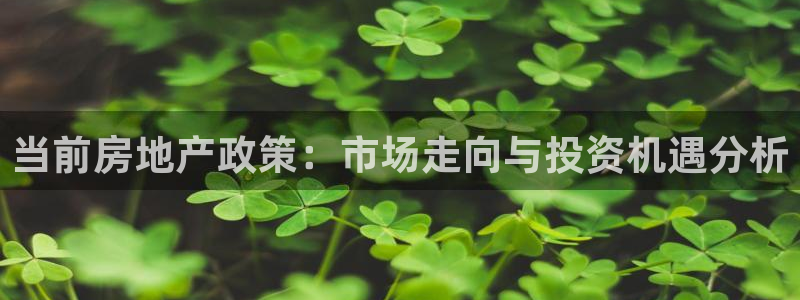 新宝5尤74OOO5：当前房地产政策：市场走向与投资机遇分析