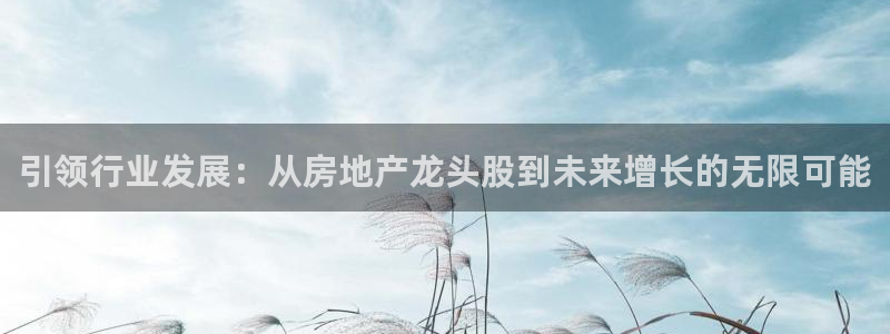 新宝5娱乐注：引领行业发展：从房地产龙头股到未来增长的无限可