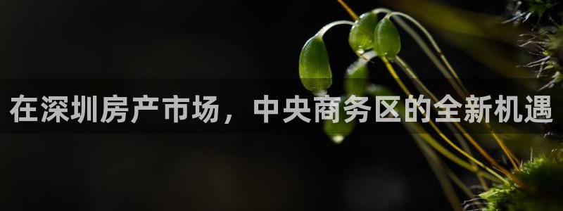新宝5系列：在深圳房产市场，中央商务区的全新机遇