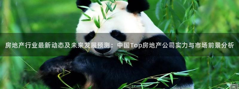 新宝5怎么下载到桌面：房地产行业最新动态及未来发展预测：中国