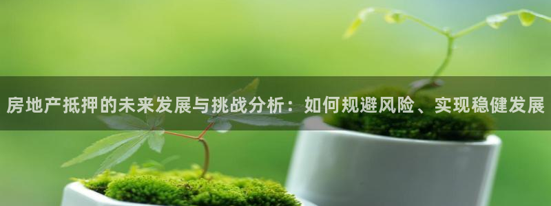 新宝5注册账号：房地产抵押的未来发展与挑战分析：如何规避风险