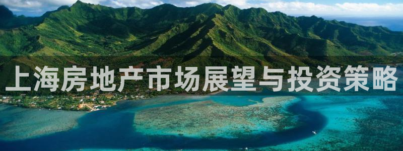 新宝新5：上海房地产市场展望与投资策略