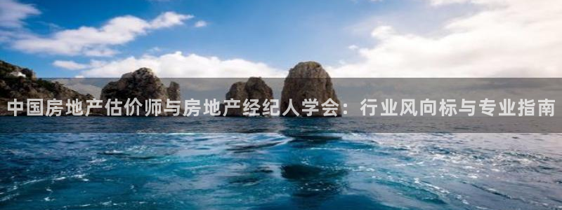 新宝5系列：中国房地产估价师与房地产经纪人学会：行业风向标与