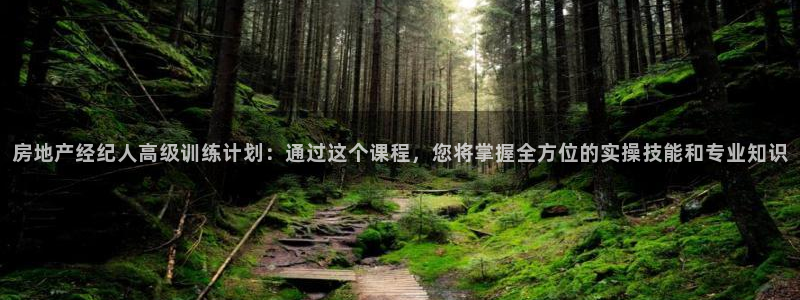 新宝5下载 迅雷下载