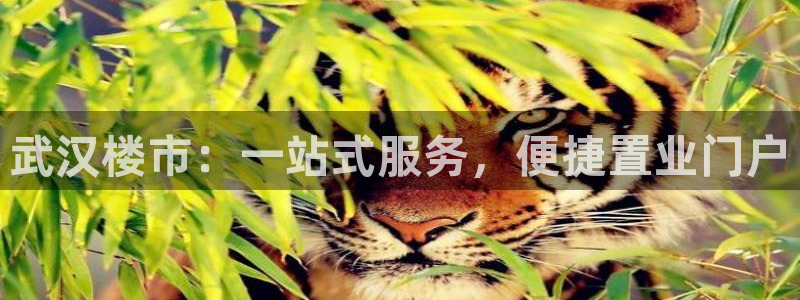 新宝5分彩：武汉楼市：一站式服务，便捷置业门户