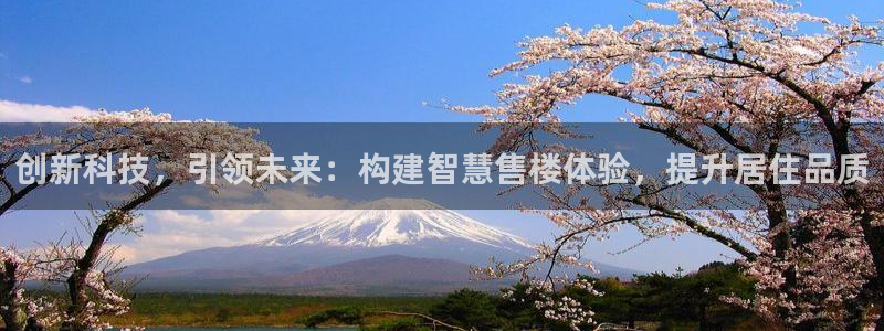 新宝5客户端登录：创新科技，引领未来：构建智慧售楼体验，提升