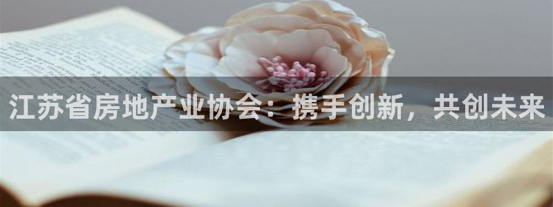 新宝5五：江苏省房地产业协会：携手创新，共创未来