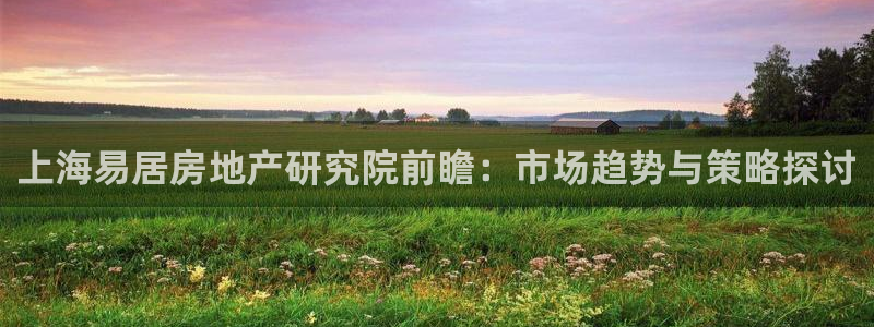 新宝5培训：上海易居房地产研究院前瞻：市场趋势与策略探讨