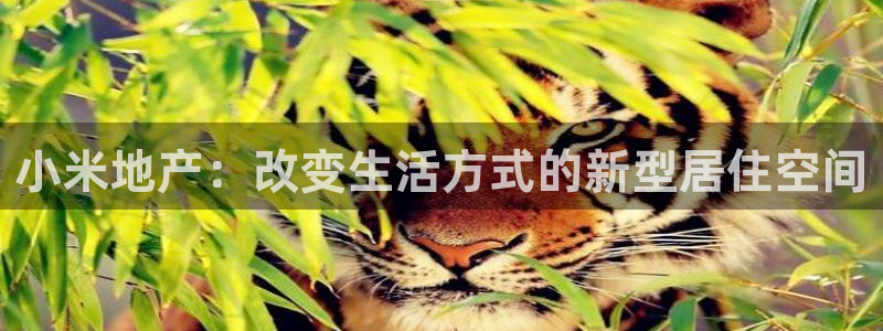 新宝5登录地址：小米地产：改变生活方式的新型居住空间