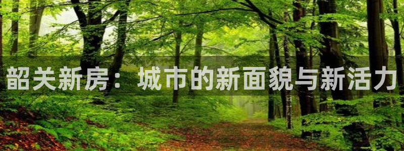 新宝5手机版登录：韶关新房：城市的新面貌与新活力