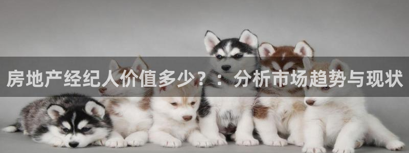 新宝5测试：房地产经纪人价值多少？：分析市场趋势与现状