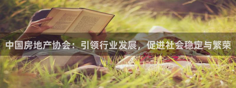 新宝5娱乐都：中国房地产协会：引领行业发展，促进社会稳定与繁
