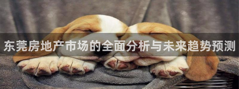 新宝奇迹GG5：东莞房地产市场的全面分析与未来趋势预测