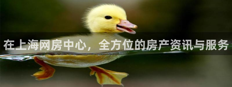 新宝5客户端登录：在上海网房中心，全方位的房产资讯与服务