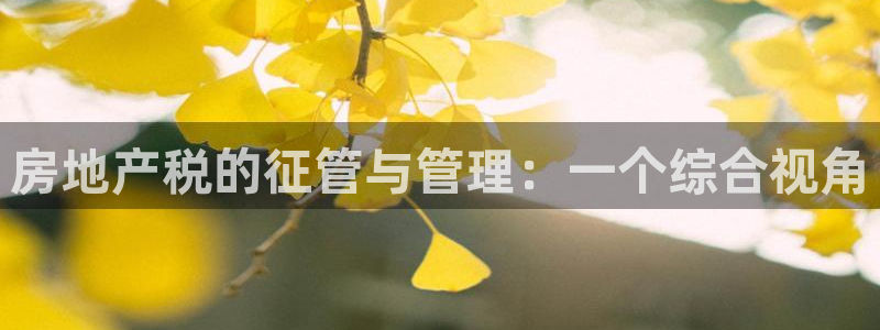 新宝5源码：房地产税的征管与管理：一个综合视角