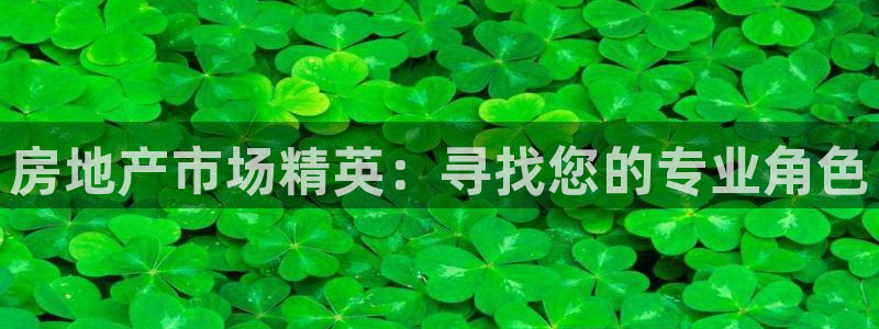 新宝5测速线路：房地产市场精英：寻找您的专业角色