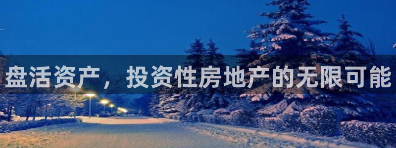 新宝5登录霸：盘活资产，投资性房地产的无限可能