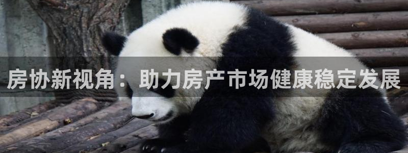 新宝5娱乐然：房协新视角：助力房产市场健康稳定发展