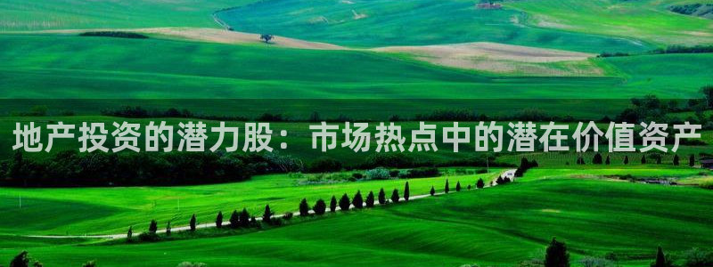 新宝5平台：地产投资的潜力股：市场热点中的潜在价值资产