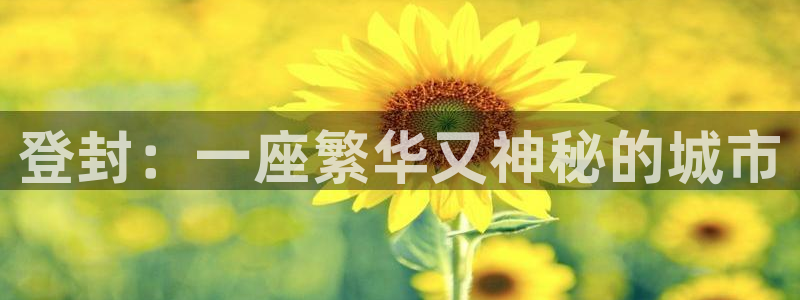 新宝m2O5O5O：登封：一座繁华又神秘的城市