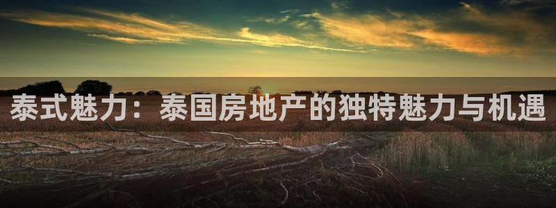 新宝5娱乐如：泰式魅力：泰国房地产的独特魅力与机遇