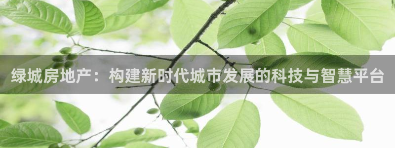 新宝5注册霸：绿城房地产：构建新时代城市发展的科技与智慧平台