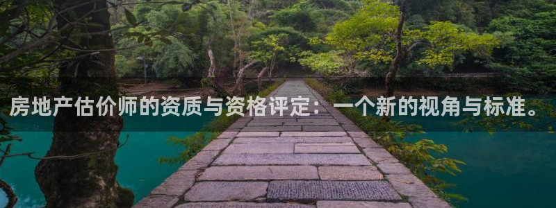 新宝骏rc5W：房地产估价师的资质与资格评定：一个新的视角与