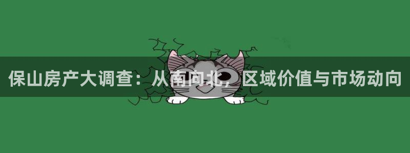 新宝5平台登录注册：保山房产大调查：从南向北，区域价值与市场